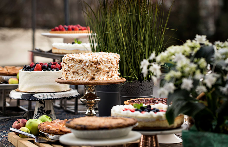 ibiza_gallery_film__0009_Rotating Photo Banner 10 Mid Page